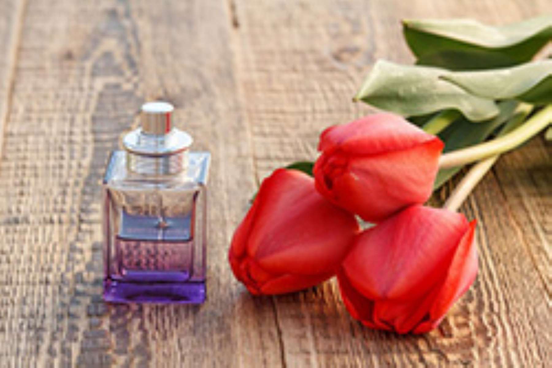 A Paix�o de Ana Carolina pela Perfumaria e a Descoberta da Brand Collection