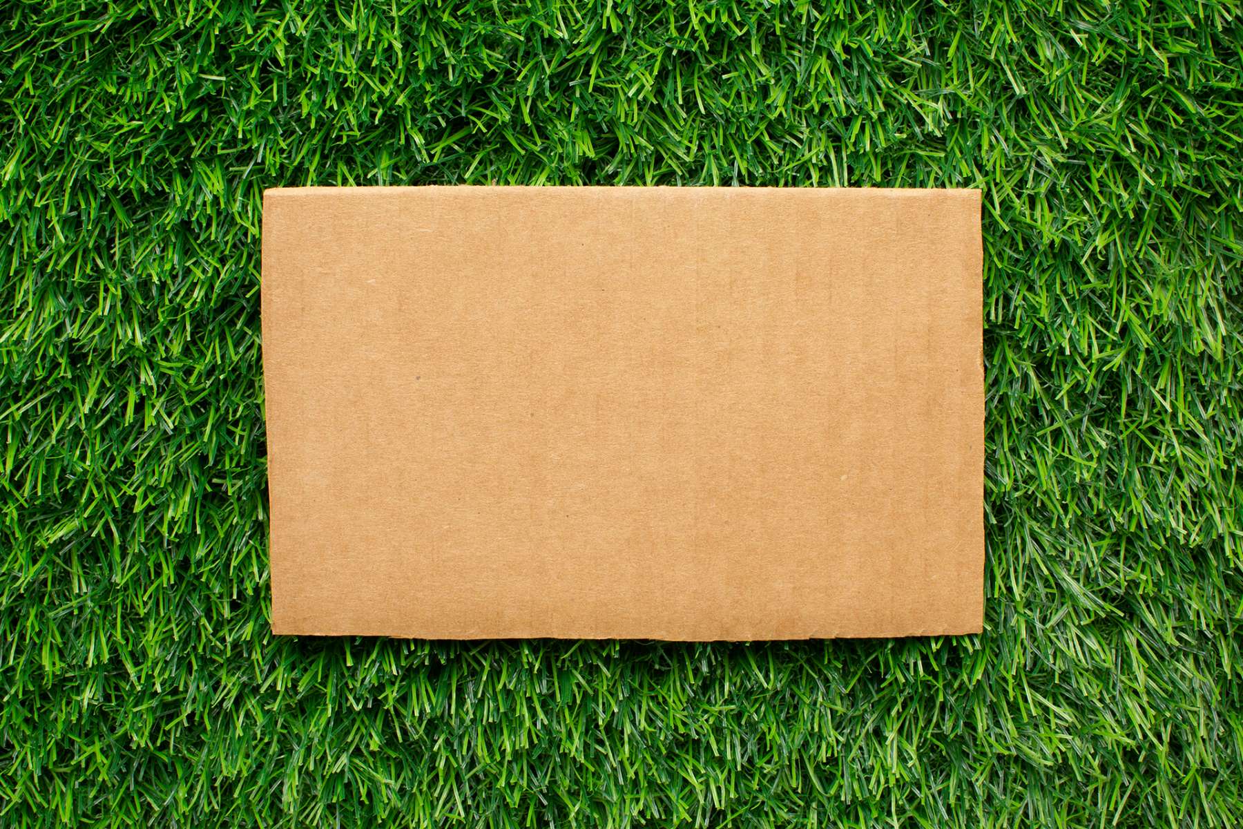 Reciclagem de Papelāo