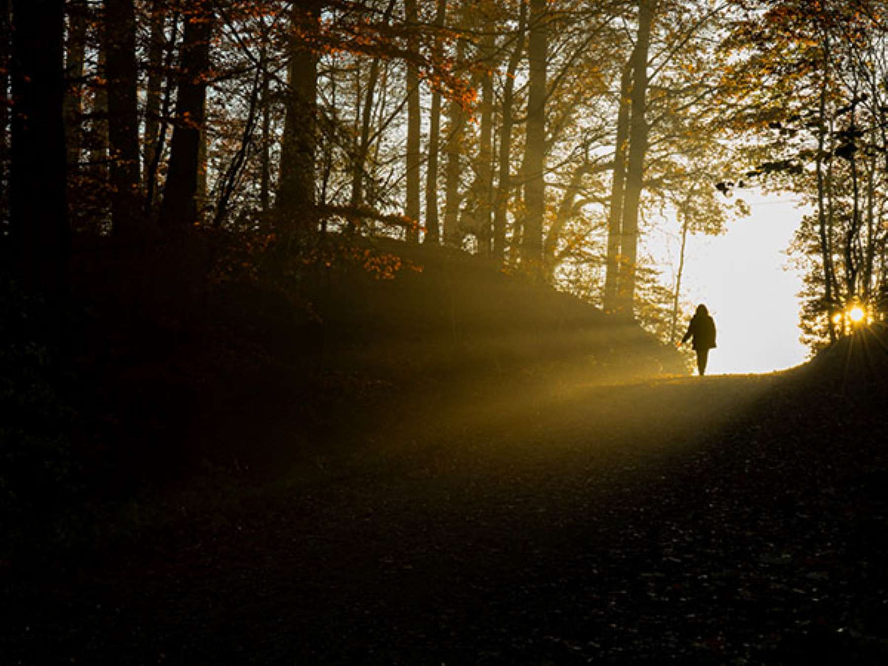 Por que Escolher o Seminrio Legados Geracionais para Transformar Sua Vida