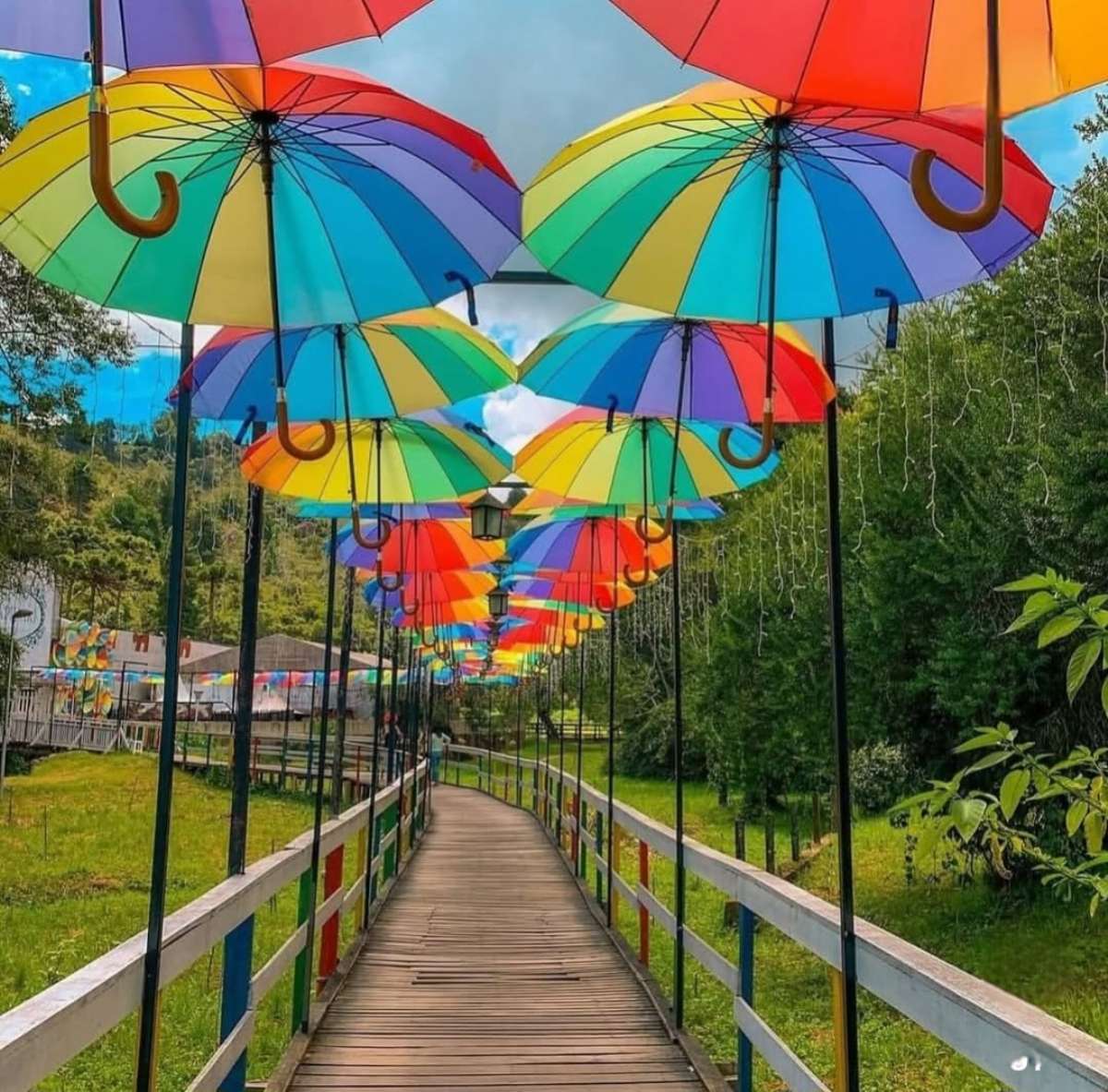 Encantos de CAMPOS DO JORDÃO- SP🌸🌿