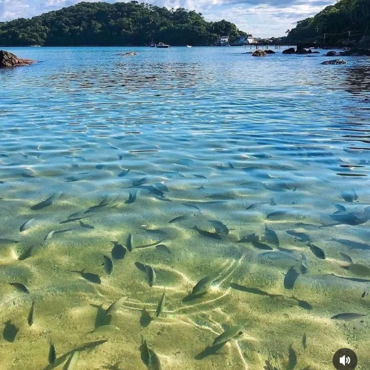 PRAIA de Bombas em Bombinhas SC 🤩