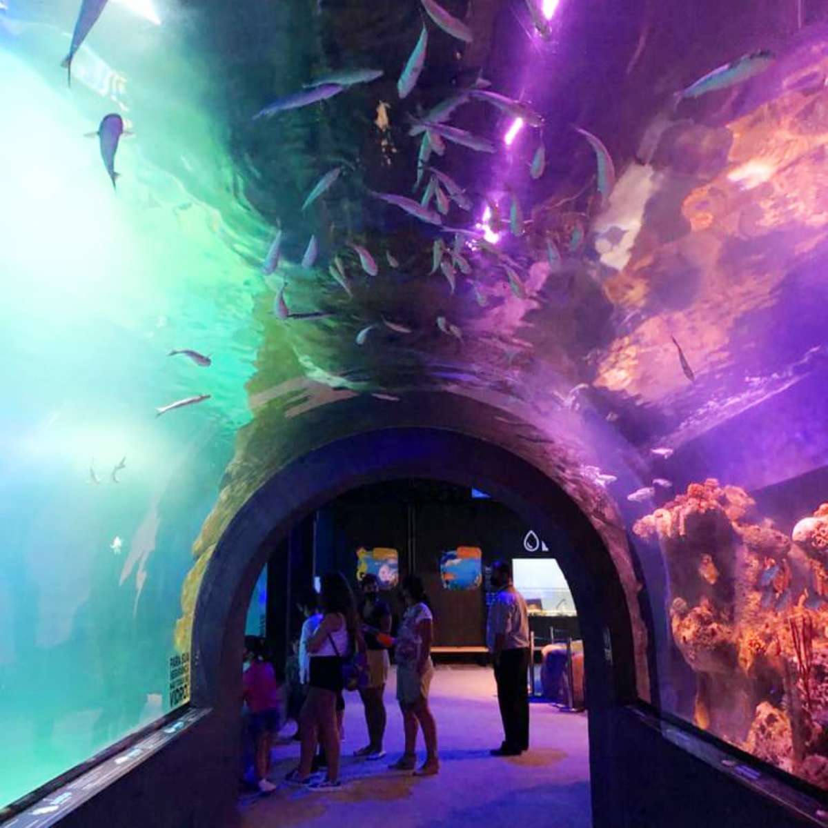 POMERODE, BLUMENAU E BALNEÁRIO CAMBORIÚ 2026