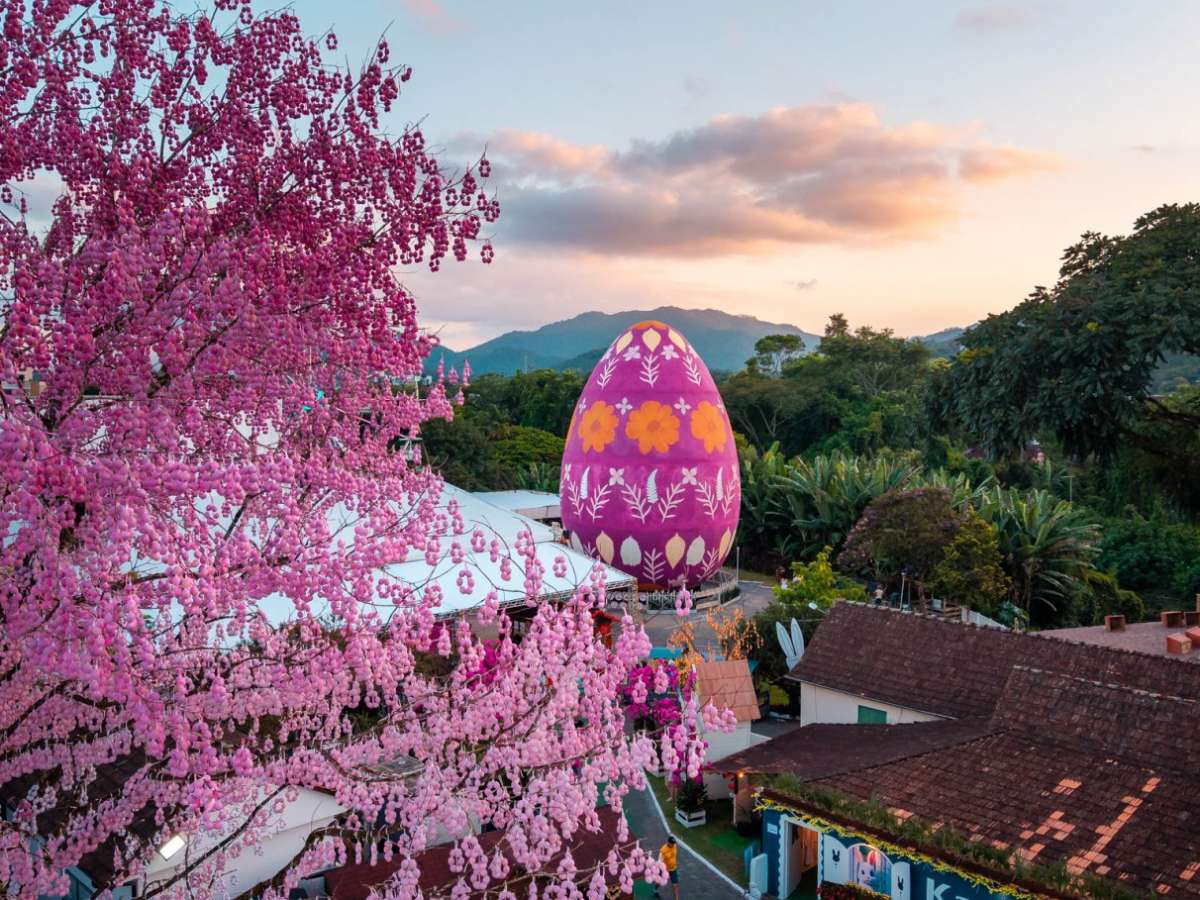 POMERODE, BLUMENAU E BALNEÁRIO CAMBORIÚ 2026