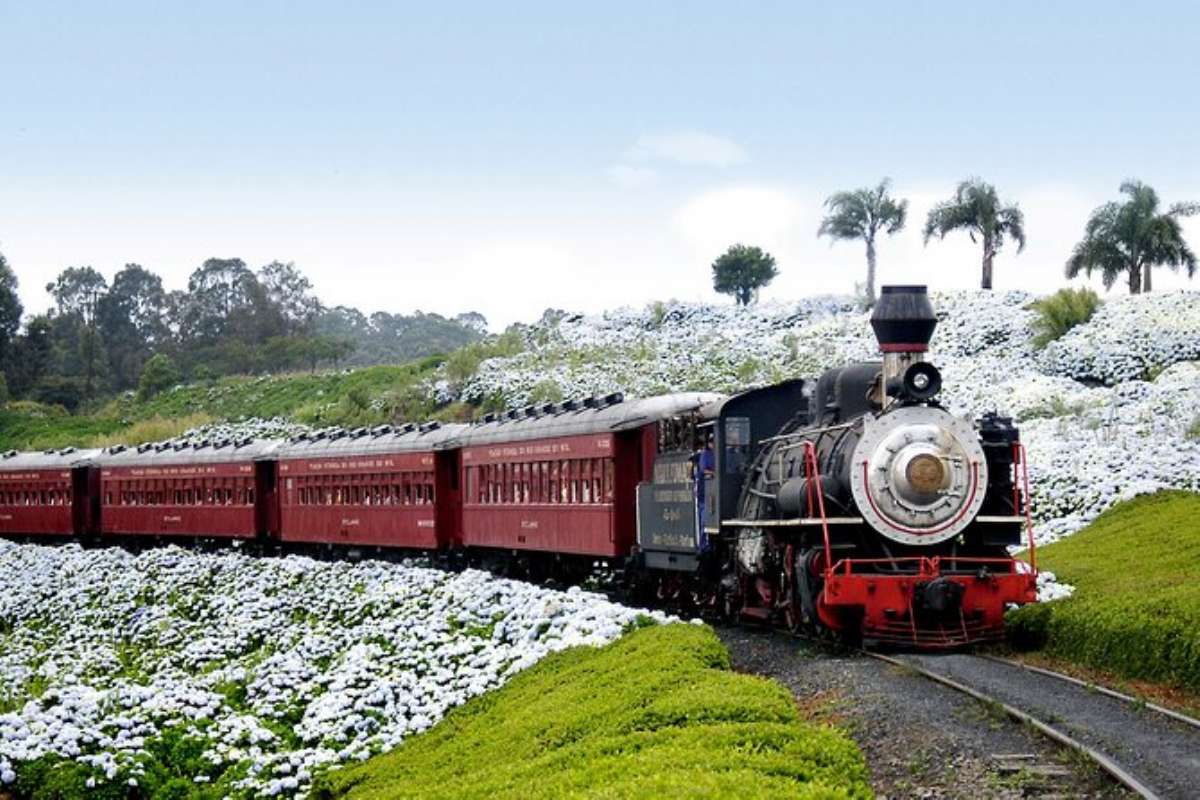 FESTIQUEIJO- Cultura Gastronômica
