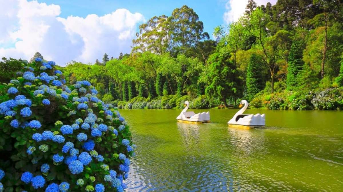 NATAL LUZ-SERRA GAÚCHA