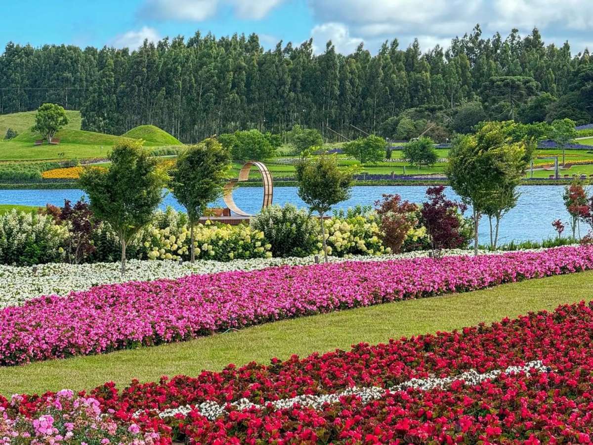 NATAL LUZ-SERRA GAÚCHA