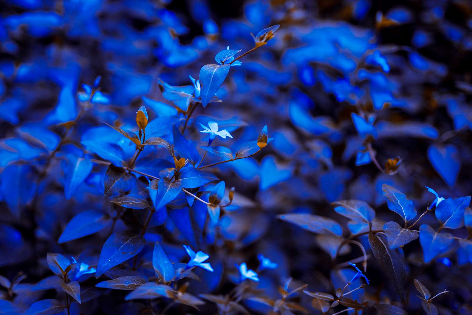 Conhe�a um Pouco da Nossa Hit�ria