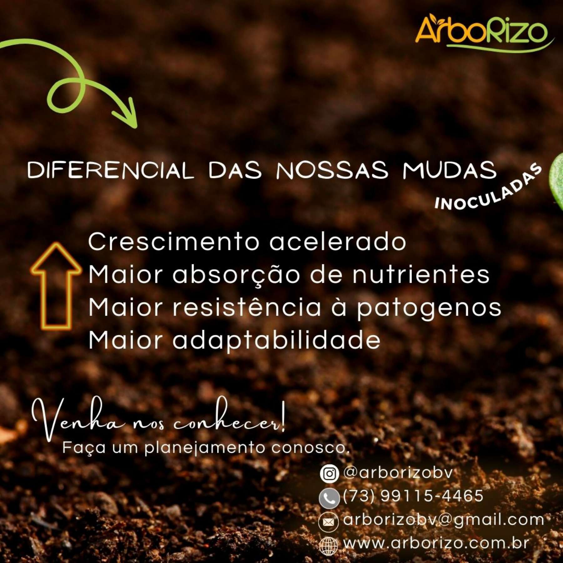 🌿 Nossos Produtos e Servios