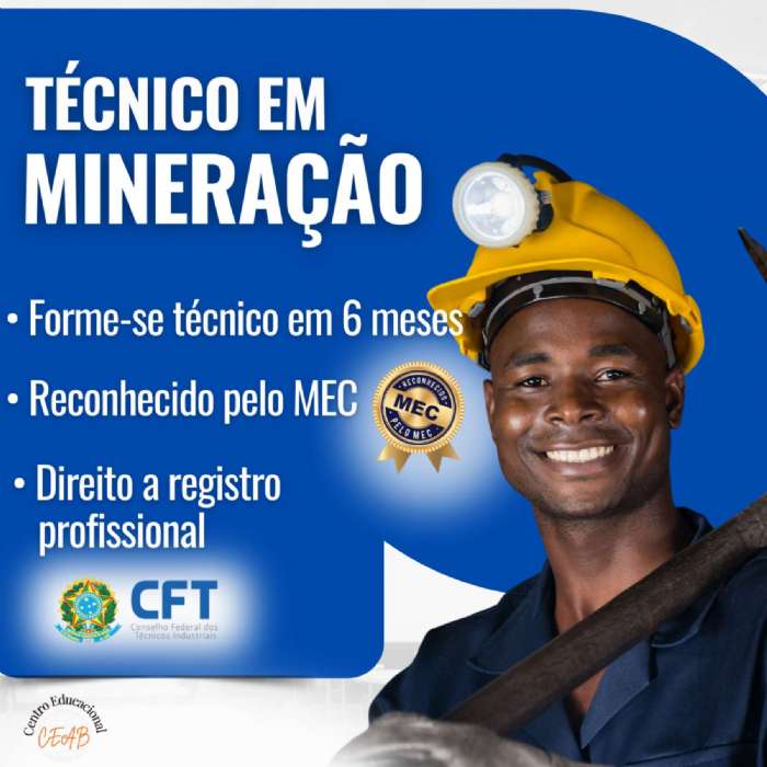 TCNICO EM MINERAO