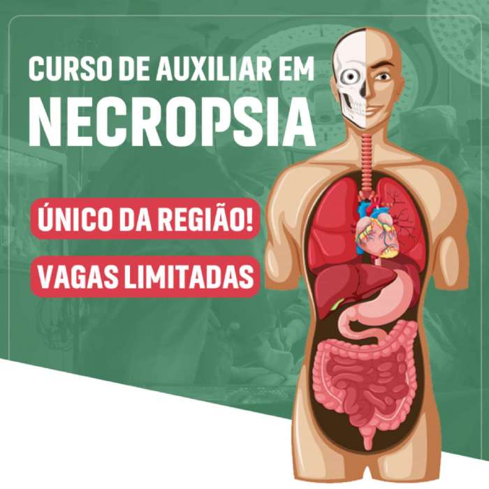 AUXILIAR DE NECROPSIA