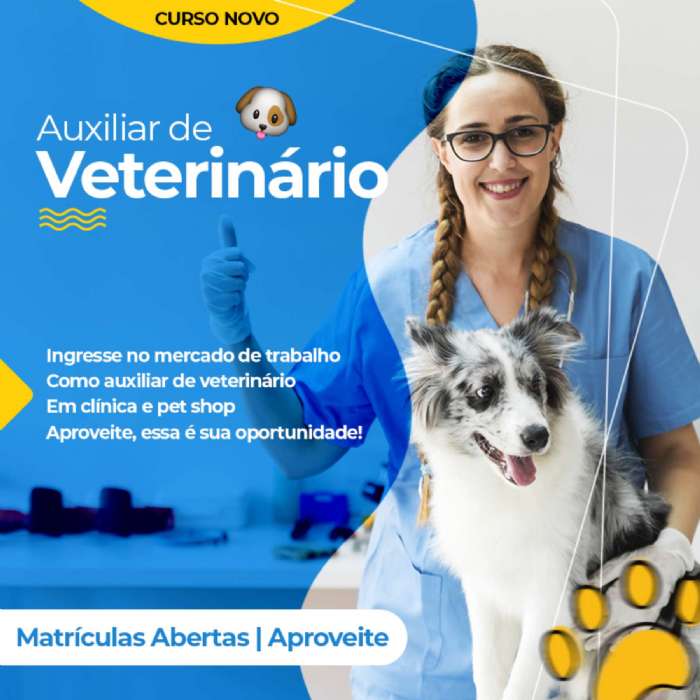 AUXILIAR DE VETERINRIO