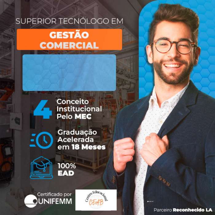 GESTO COMERCIAL