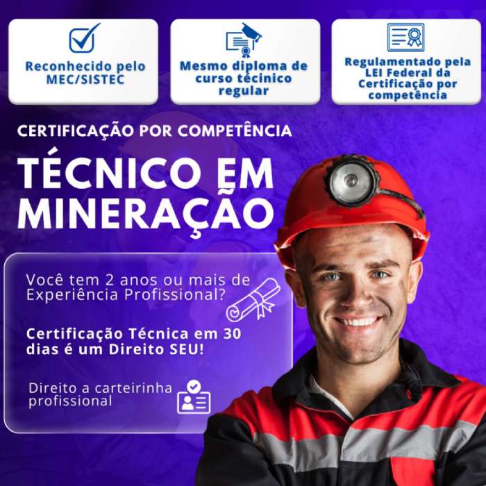 TCNICO EM MINERAO